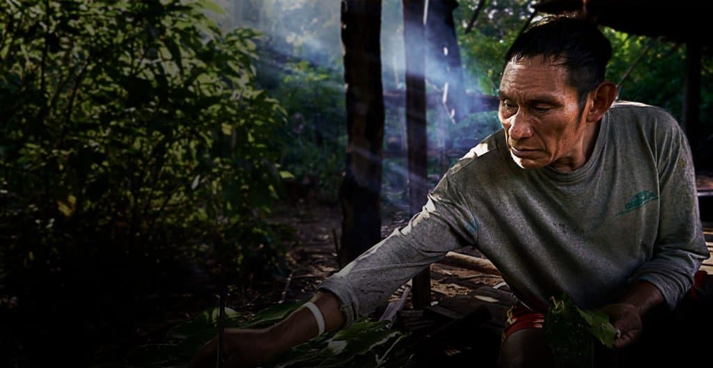 Portrait of person working in the forest.